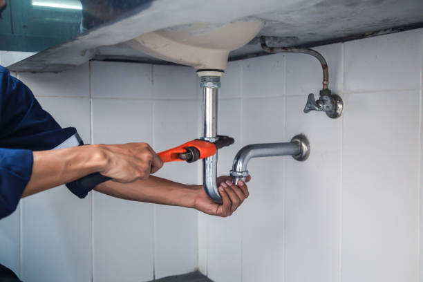 Best Plumbing Inspection Services  in Sebree, KY